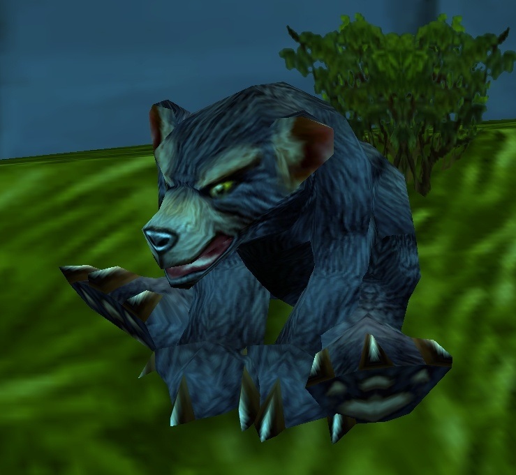 Ourson de Dun Morogh